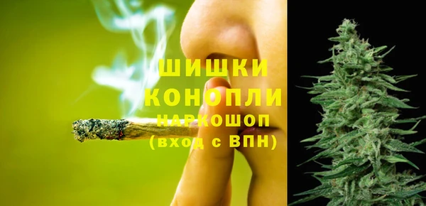 прущие грибы Козельск