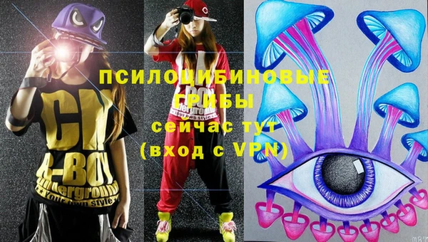 прущая мука Козловка
