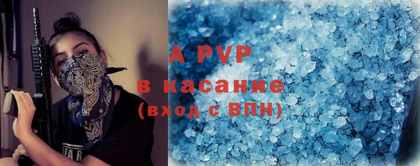 прущие грибы Козельск