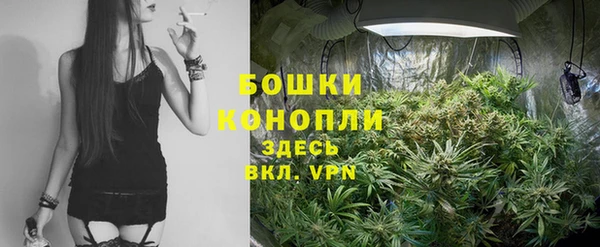 прущая мука Козловка