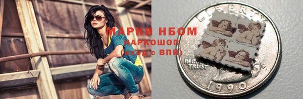 прущие грибы Козельск