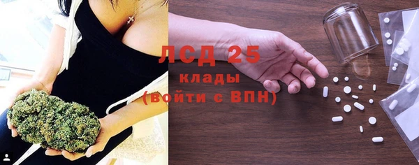прущие грибы Козельск